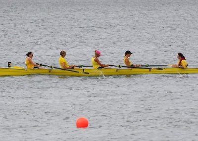 2016 Season